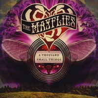 mayflies-1 | Americana Boogie